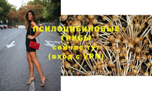 ALPHA PVP Волоколамск