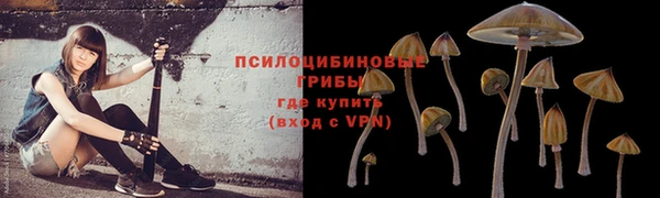 спиды Володарск