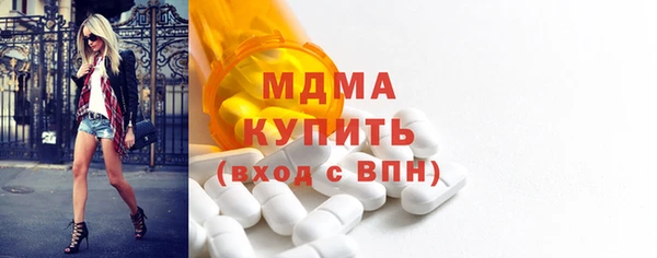 стаф Тайга