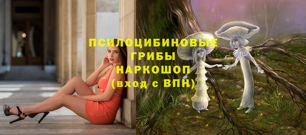 спиды Володарск