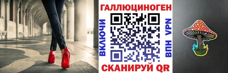 Галлюциногенные грибы Psilocybe  где продают   Дно 